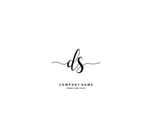 DS Initial handwriting logo vector