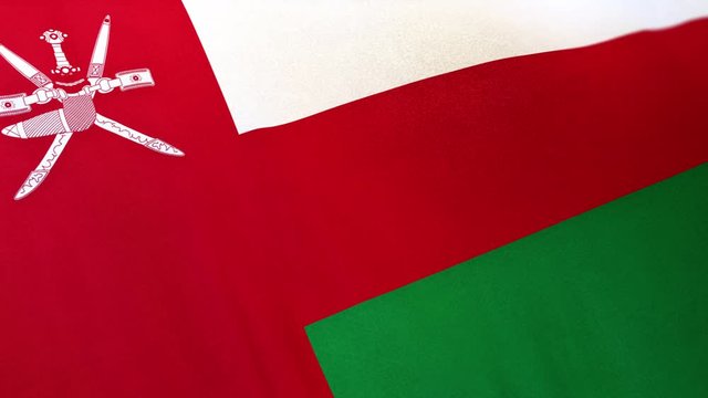 Oman national flag seamlessly waving on realistic satin texture 29.97FPS