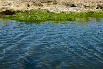 Caspian Sea coast in summer