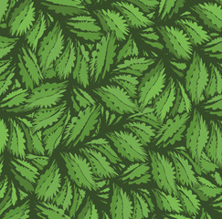 Naklejka na ściany i meble background of fern leaves