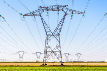 Front view of an electricity pylon in the countryside with dozens of other pylons in the distance.