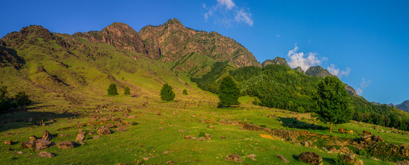 Beautiful mountain landscape with wild horses on a late afternoon