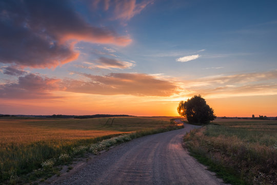 Masurian road with a lonely tree during sunset near Banie Mazurskie