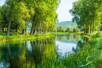 Schöner Gacka-Fluss, der zwischen Bäumen und Feldern fließt, Sommeransicht, Region Lika in Kroatien © ilijaa