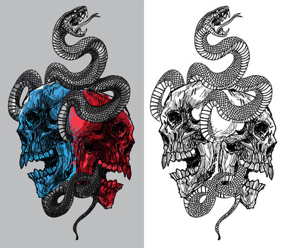 tattoo snake and skull hand drawing