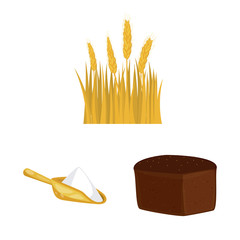 Vector design of wheat and corn symbol. Collection of wheat and harvest stock symbol for web.