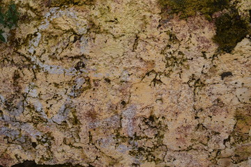 Detail of an old wall with dirty and damp plaster