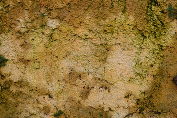 Detail of an old wall with dirty and damp plaster