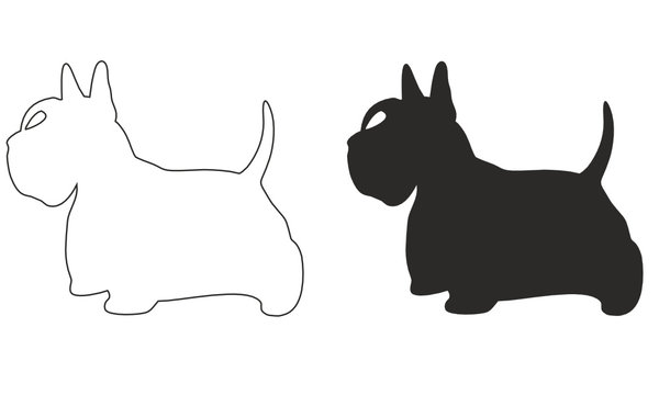 Black and contour silhouette of the Scottish Terrier side view