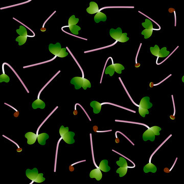 Microgreens Kale. Sprouting seeds of a plant. Seamless pattern. Vitamin supplement, vegan food.