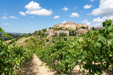 View on the vineyard, church and houses of the historic Italian village of Cossignano in the province of Ascoli Piceno in the Marche region. 