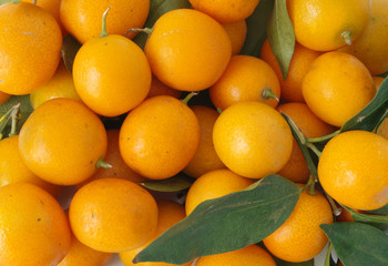 Kumquat fruits background