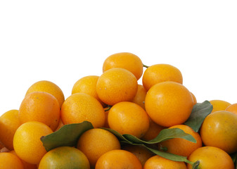 Kumquat fruits isolated on white background