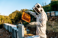 Beekeeper working collect honey