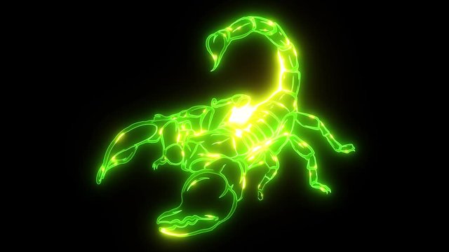 Silhouette of dangerous insect scorpion