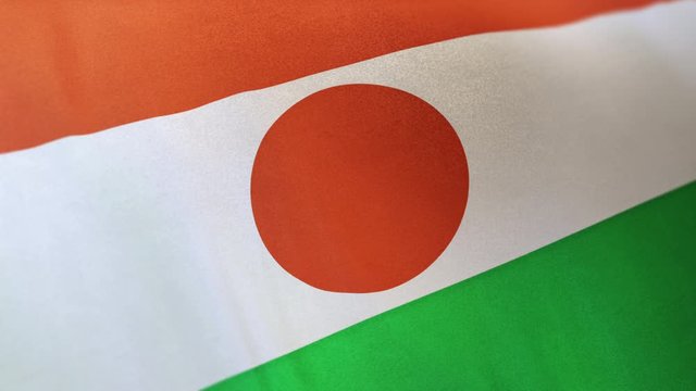 Republic of the Niger national flag seamlessly waving realistic satin 29.97FPS