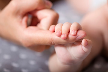 Newborn mother holding baby hand . closeup baby's hand in mother's finger
