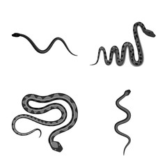 Vector illustration of harm and bite symbol. Collection of harm and reptile stock symbol for web.