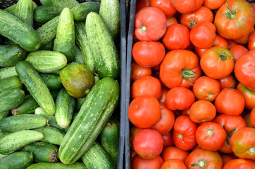  Cucumbers and tomatoes are in plastic boxes.