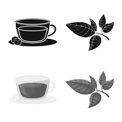 Vector illustration of healthy and floral logo. Set of healthy and gradient stock symbol for web.