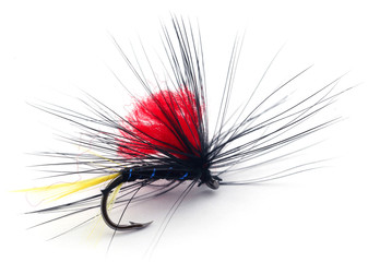Fishing fly with hook