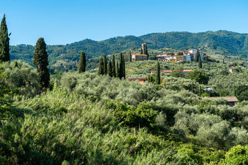 Rural landscape from Buggiano Castello, Tuscany