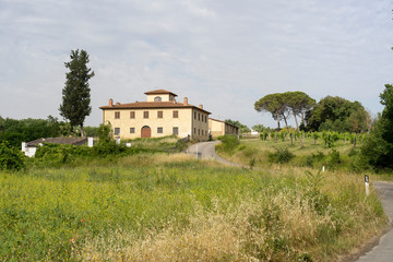 Obraz premium Summer landscape in the Chianti region at summer