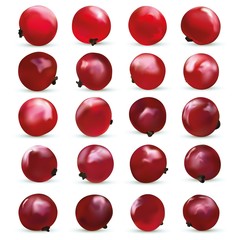 3D realistic berry isolated on white background. Red currant berry close up. Collection of single red summer berries. Vector illustration.