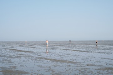 Incidental people walking across mudflat tideland at ebb tide in Cuxhaven Germany