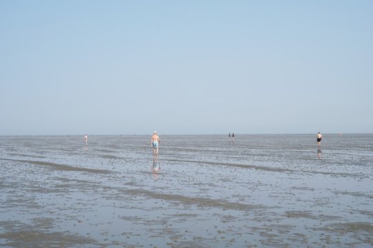 Incidental people walking across mudflat tideland at ebb tide in Cuxhaven Germany