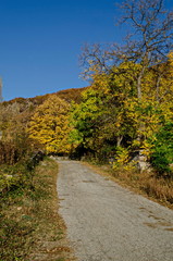 Amazing autumn view of glade, hill, forest with deciduous trees and road near to pretty village Zhrebichko, Bratsigovo municipality,  Rhodope mountains, Bulgaria