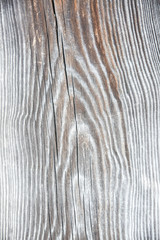 Fototapeta premium Wooden background. Rustic texture outdoors.