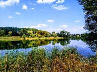Fototapeta premium Landskape.lake.water.Sky.tree, blue, forest