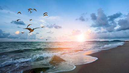 Sea on the beach.