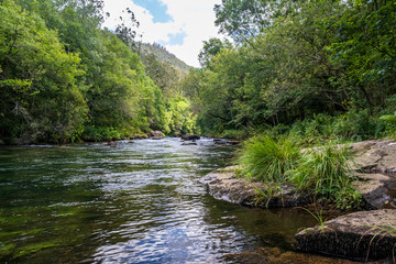 Rivi&egrave;re et montagne 