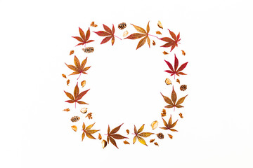 Autumnal frame of red fall tree leaves on white background. Flat lay, top view