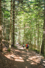 Obraz premium A woman hiking in the Aran valley in Spain, exactly in Artiga de Lin,