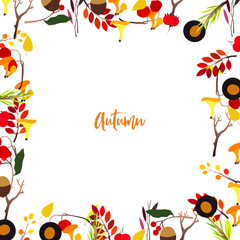 Autumn vector frame with berries, acorns, pine cone, mushrooms, branches and leaves.