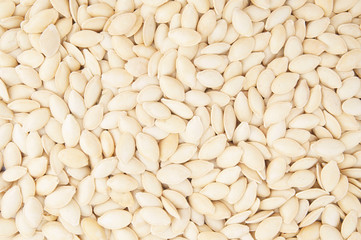 Pumpkin seeds background