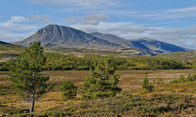 Norway. September in Rondane National Park