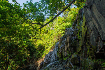 Ton Aow Yon Waterfall rich natural resources,in the forest,asia tropical areaat Island Phuket Thailand.