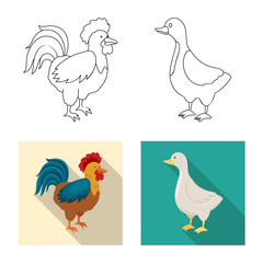 Isolated object of breeding and kitchen icon. Collection of breeding and organic vector icon for stock.