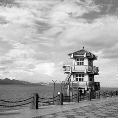 shenzhen mangrove wetland 04
