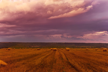 Fototapeta premium A round sheaf of hay on a harvested wheat field and a beautiful sunset.
