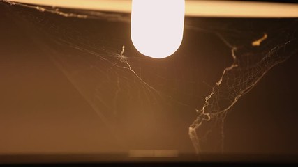 Spider web under a office lamp moved by the wind