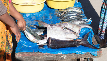 Fishes on display at street market © michaklootwijk