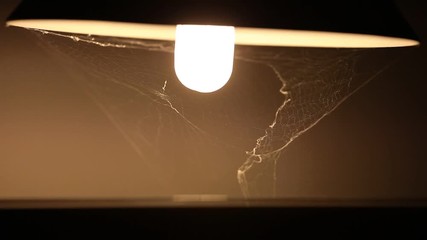 Spider web under an office lamp, in the evening and moved by the wind