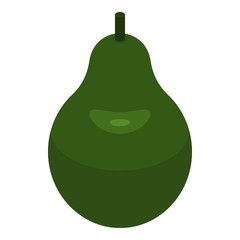 Whole avocado icon. Isometric of whole avocado vector icon for web design isolated on white background