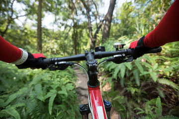Naklejka premium Cross country biking cyclist riding mountain bike on tropical rainforest trail