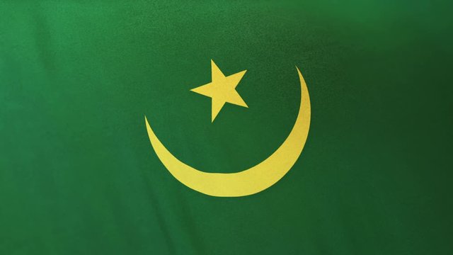 Mauritania national flag seamlessly waving on realistic satin texture 29.97FPS
